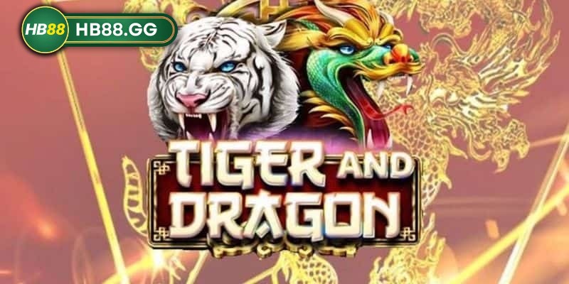 Rồng Hổ HB88 - Những cẩm nang chi tiết cho tân thủ 4 Kinh nghiệm chơi Rồng Hổ HB88 thắng lớn từ cao thủ