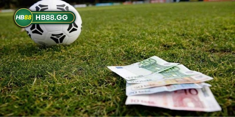 Kèo Handicap HB88 - Cách đọc kèo chuẩn cho người mới 4 Chọn các giải đấu am hiểu để chơi kèo handicap tại trang web hàng đầu HB88