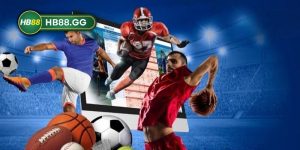 So sánh sảnh thể thao HB88 và Net88 - Điểm nổi bật và lợi ích 12 so sanh sanh the thao hb88 va net88 anh dai dien